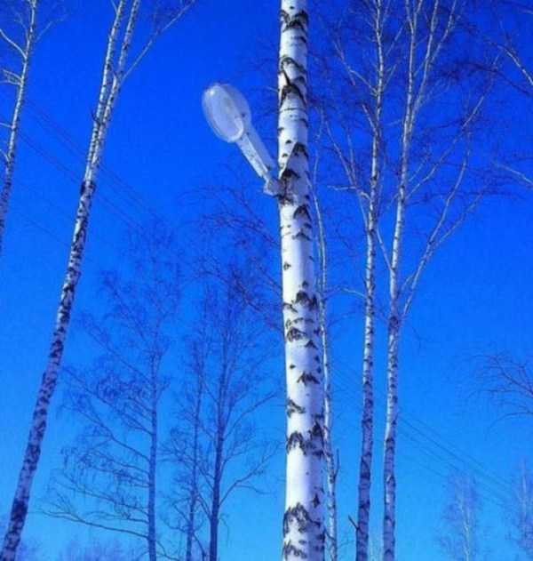 61 WTF Photos From The Planet Russia