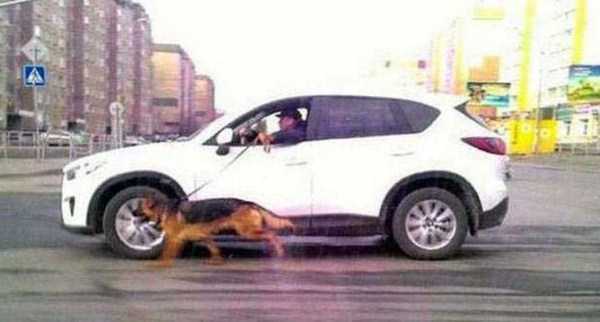 61 WTF Photos From The Planet Russia