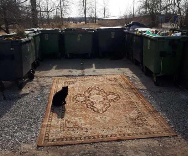 61 WTF Photos From The Planet Russia