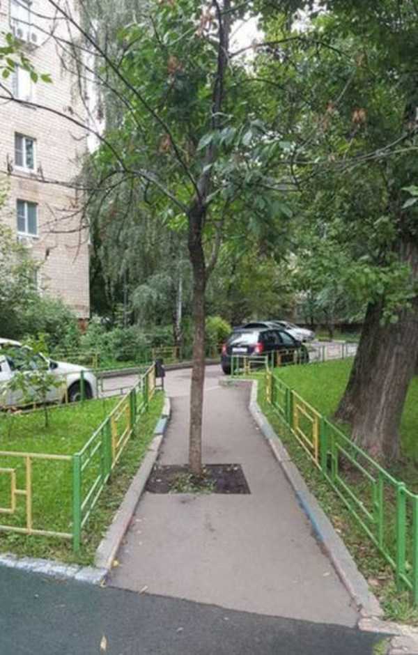 61 WTF Photos From The Planet Russia