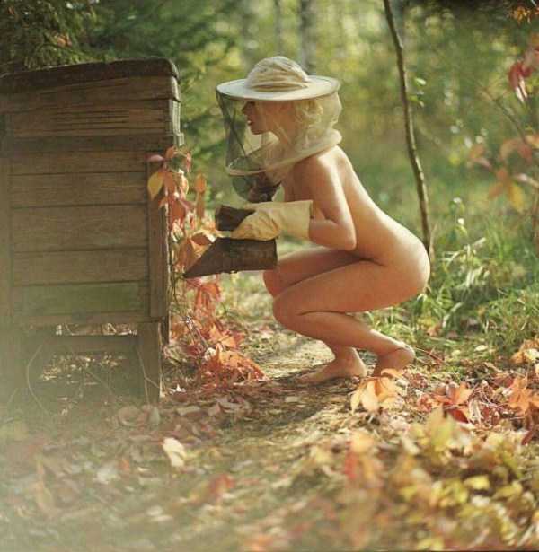 A Little Fun For Adults – Part 111 (74 photos)