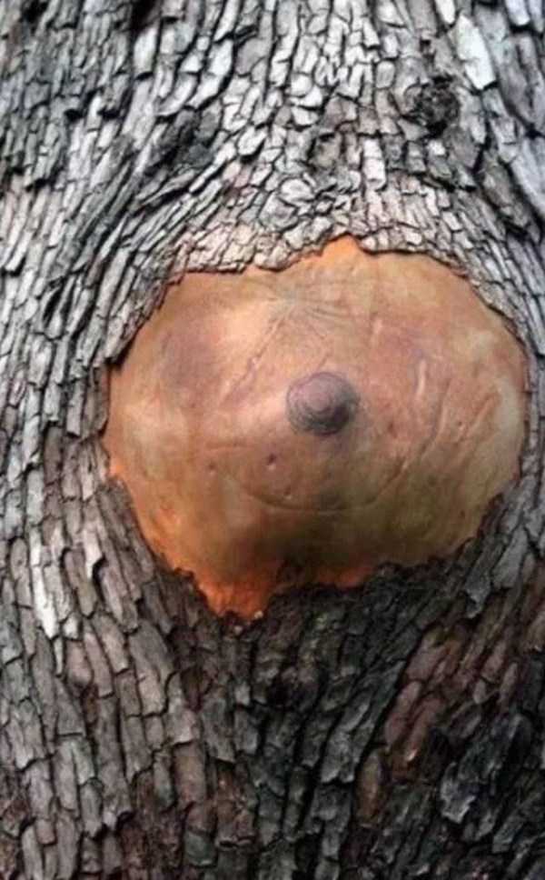 Put Your Dirty Mind To The Test   Part 1 (53 photos)