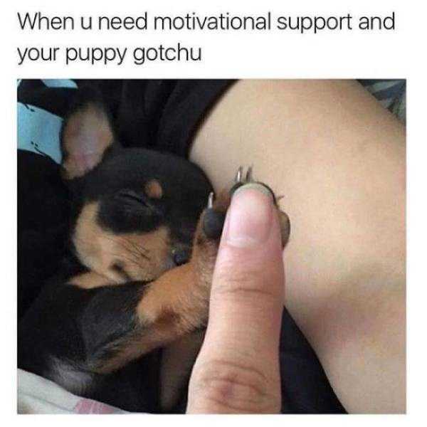 59 Pictures To Help You Feel Better (59 photos)