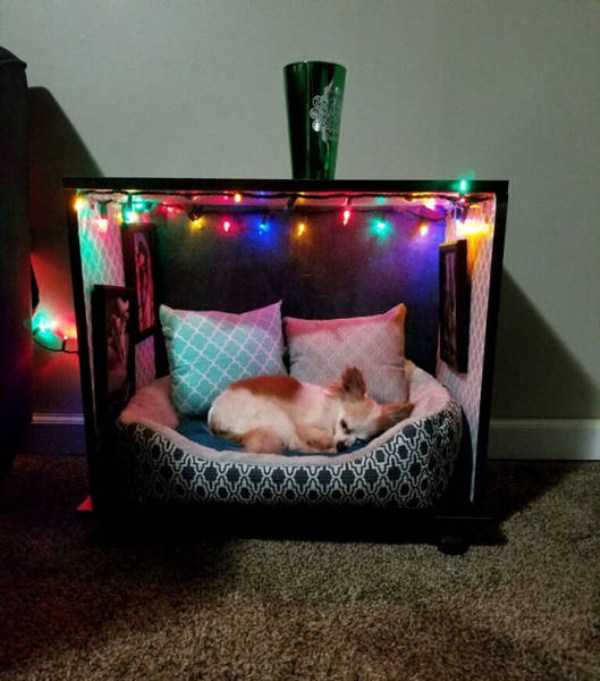 59 Pictures To Help You Feel Better (59 photos)