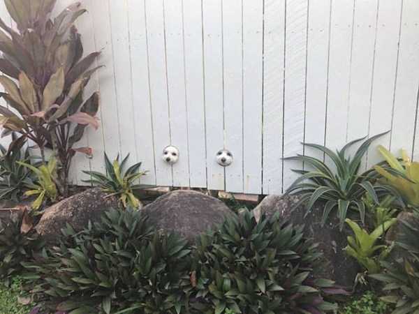 59 Pictures To Help You Feel Better (59 photos)