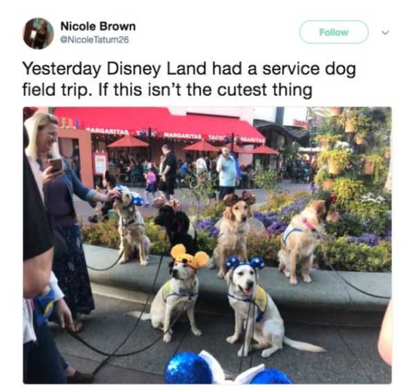 59 Pictures To Help You Feel Better (59 photos)