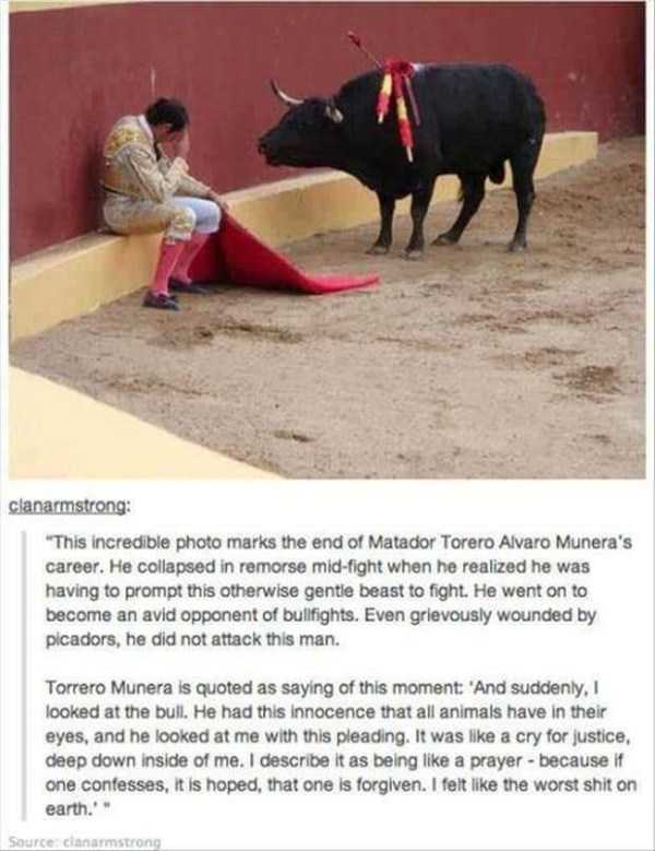 59 Pictures To Help You Feel Better (59 photos)