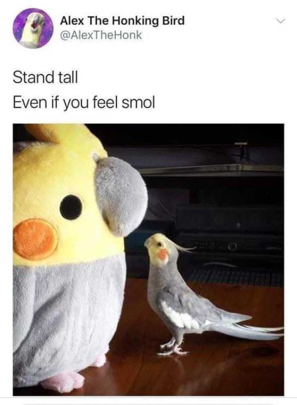 59 Pictures To Help You Feel Better (59 photos)