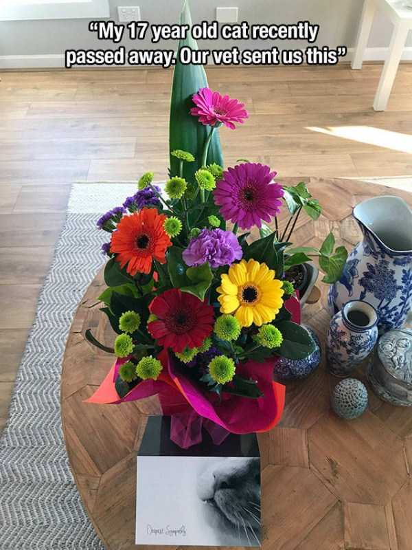 59 Pictures To Help You Feel Better (59 photos)