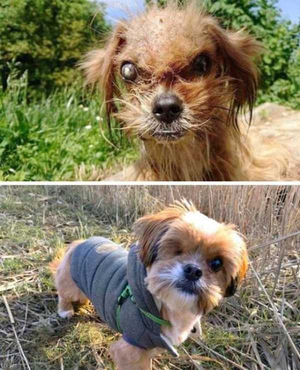 59 Pictures To Help You Feel Better (59 photos)