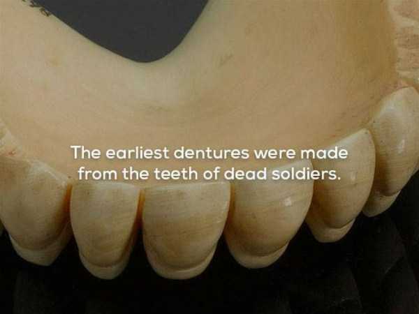 It’s Time For Some Cool And Interesting Facts – Part 64 (32 photos)
