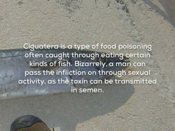 It’s Time For Some Cool And Interesting Facts – Part 64 (32 photos)