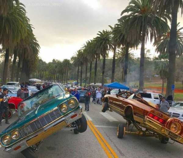 49 Amazing HD Pics That Will Please Your Eyes (49 photos)