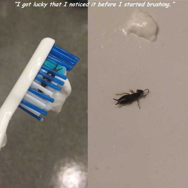 Lucky People (47 photos)