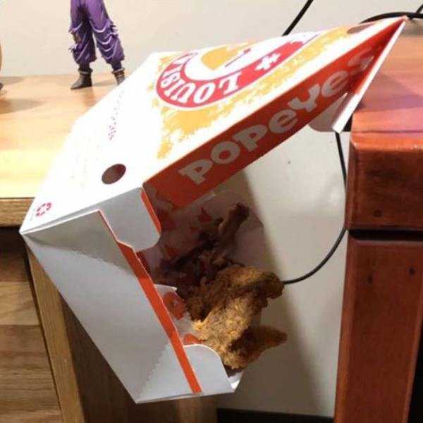 Lucky People (47 photos)