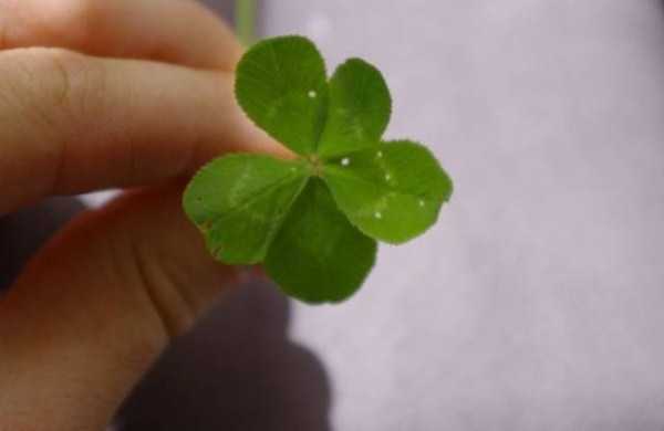 Lucky People (47 photos)