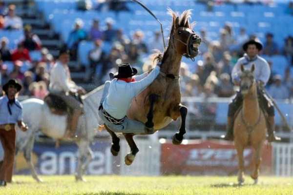 38 Perfectly Timed Photos