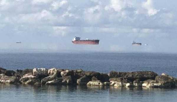 38 Perfectly Timed Photos