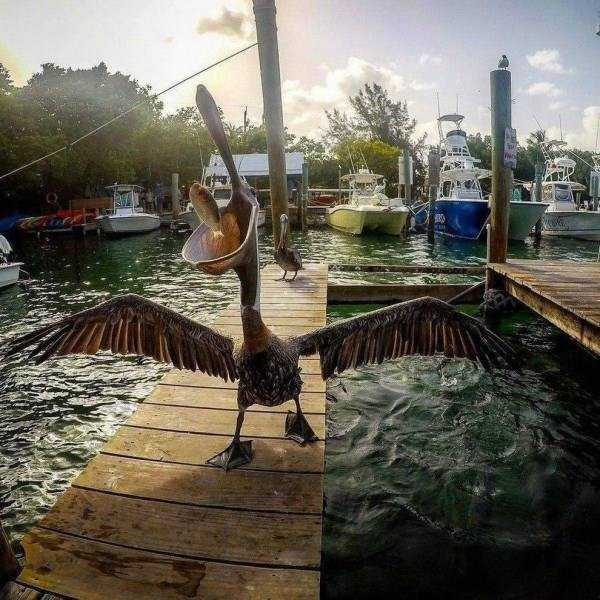 38 Perfectly Timed Photos