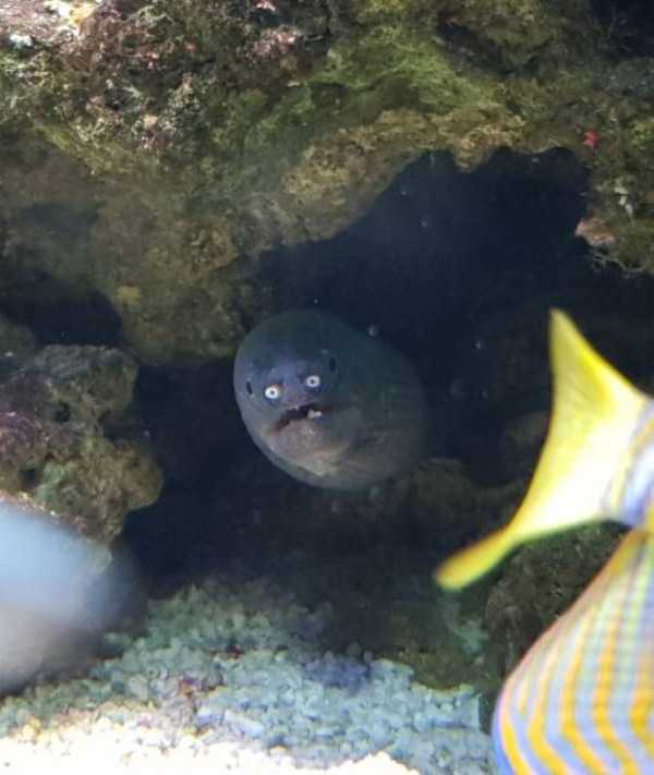 38 Perfectly Timed Photos