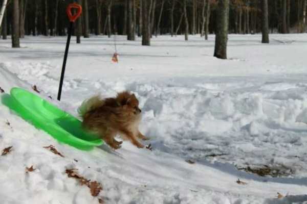 38 Perfectly Timed Photos