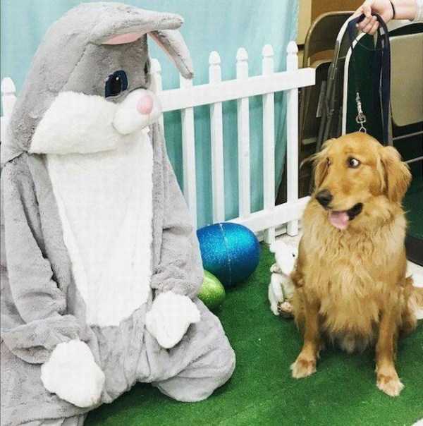 38 Perfectly Timed Photos