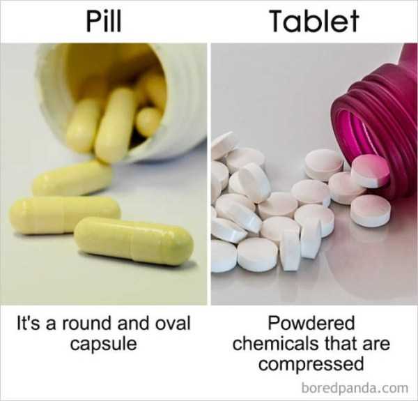 So Similar, Yet So Different (39 photos)