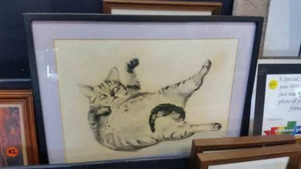 Just An Ordinary Stuff From Thrift Stores (52 photos)