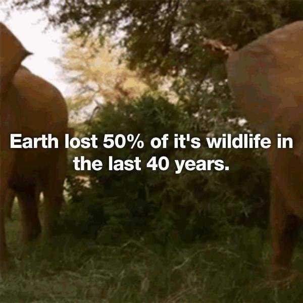 25 Intriguing Statistics (25 photos)