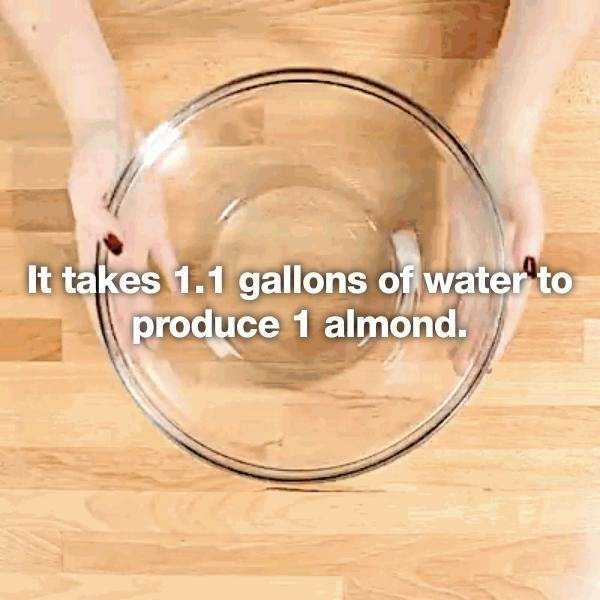 25 Intriguing Statistics (25 photos)
