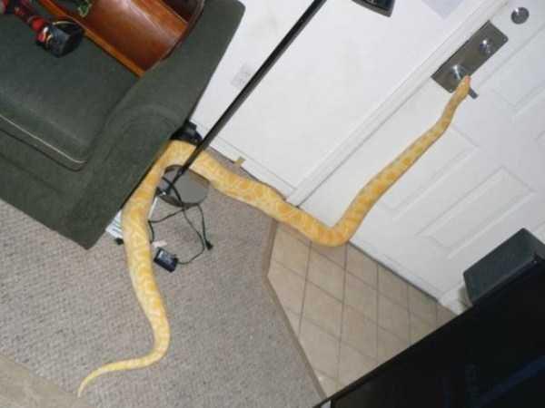 That Weird Side Of The Internet – Part 48 (58 photos)