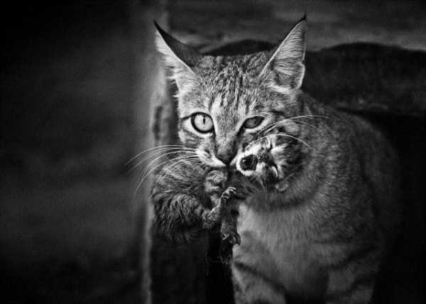 amazing pics 25 50 Nothing But Awesome Pics (50 photos)