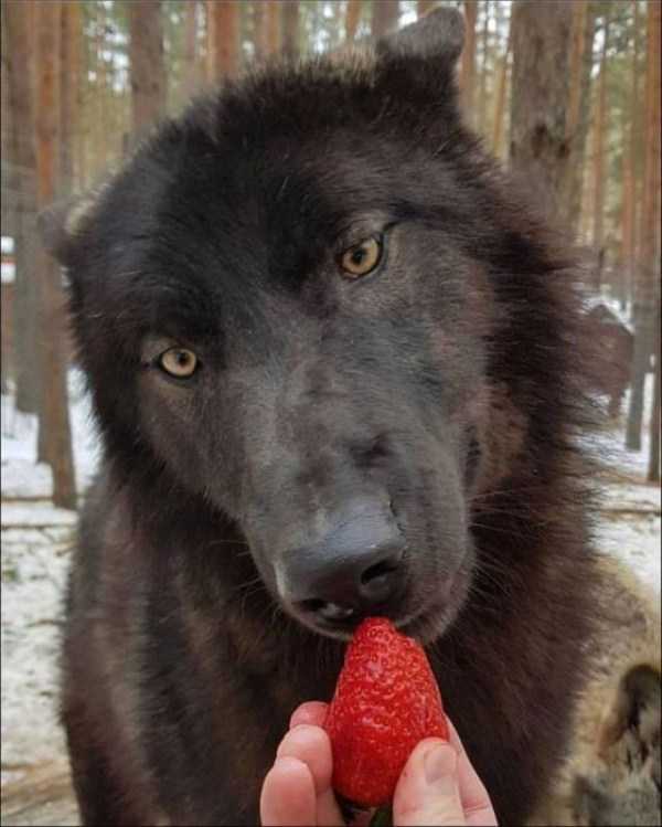66 Nothing But Awesome Pics (66 photos)