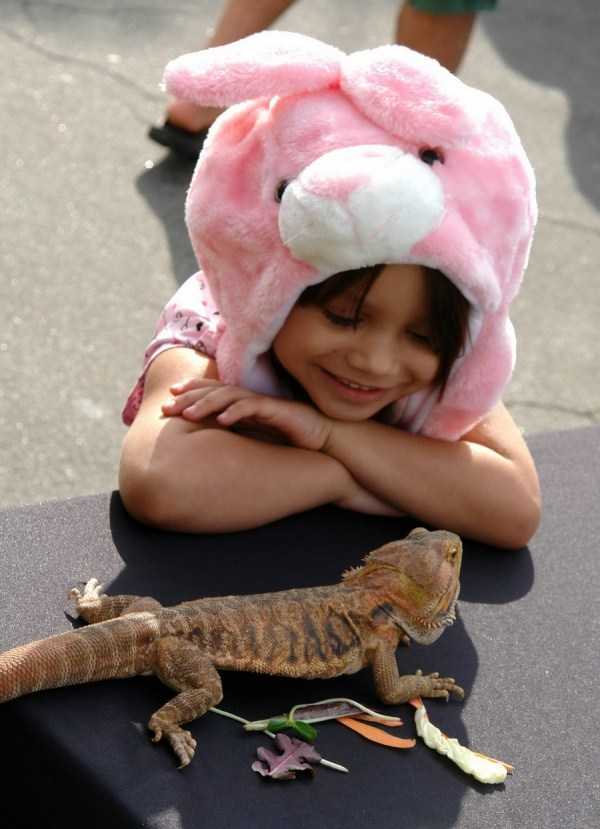 44 Amazing HD Pics That Will Please Your Eyes (44 photos)