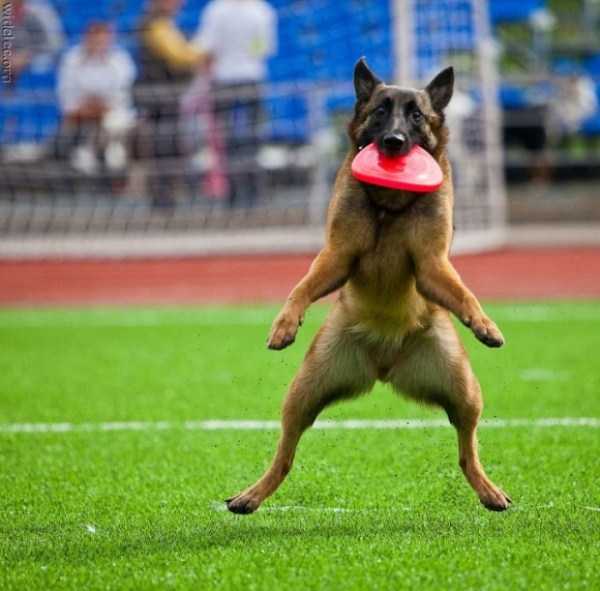 45 Perfectly Timed Photos