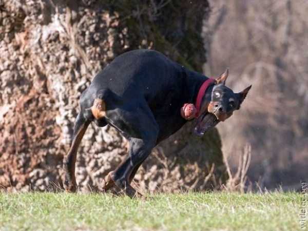 45 Perfectly Timed Photos