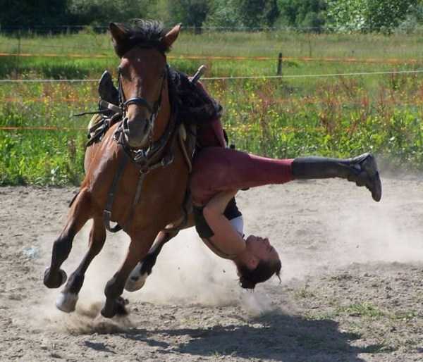 45 Perfectly Timed Photos