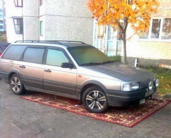 Russians Are Obsessed With Carpets (32 photos)