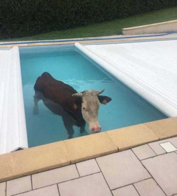 That Weird Side Of The Internet – Part 53 (67 photos)