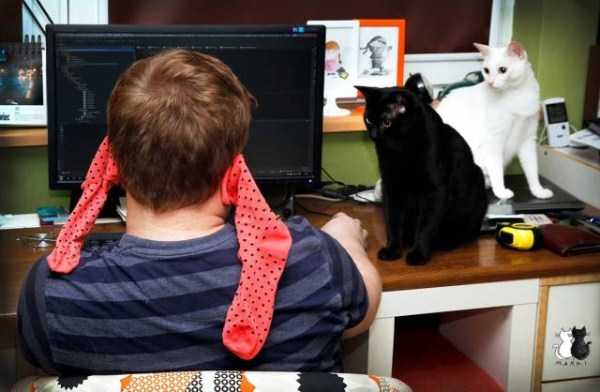 That Weird Side Of The Internet – Part 53 (67 photos)