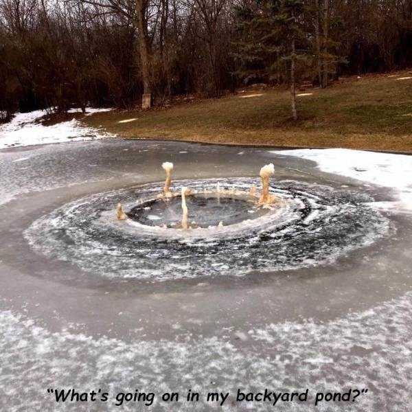 That Weird Side Of The Internet – Part 53 (67 photos)