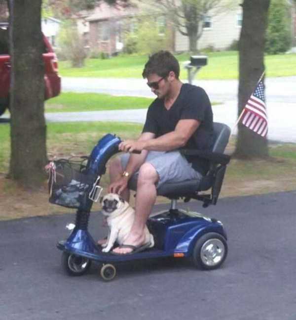 That Weird Side Of The Internet – Part 53 (67 photos)