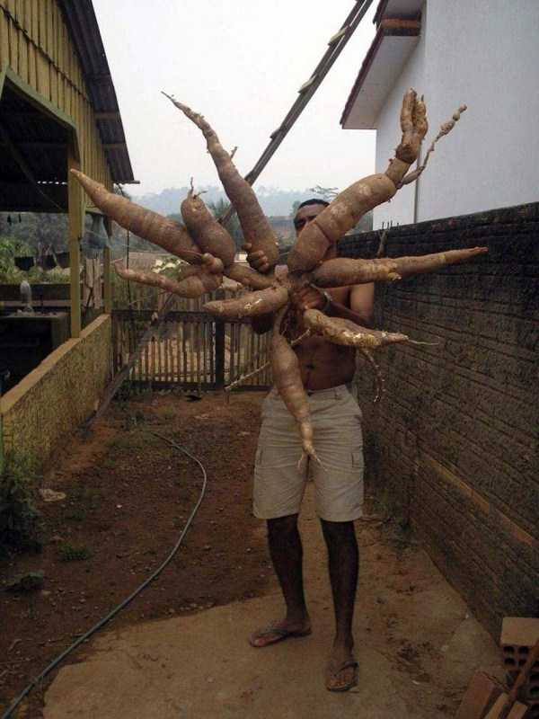 That Weird Side Of The Internet – Part 54 (43 photos)