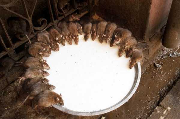 That Weird Side Of The Internet – Part 54 (43 photos)