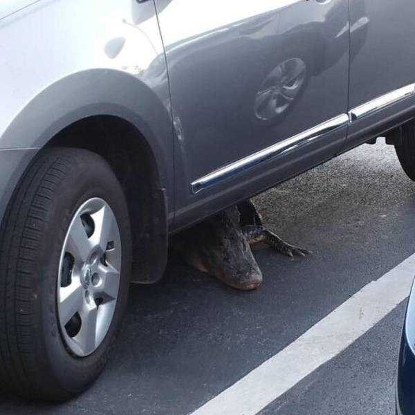 38 More WTF Photos, Because Why Not!?