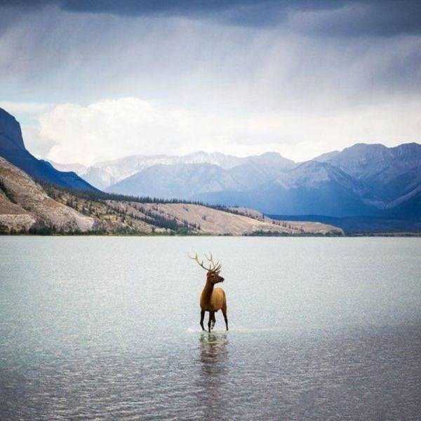 54 Nothing But Awesome Pics (54 photos)