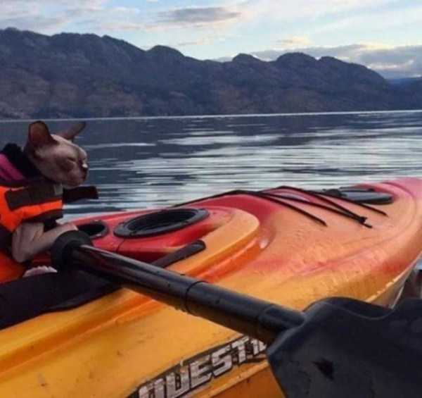 54 Nothing But Awesome Pics (54 photos)