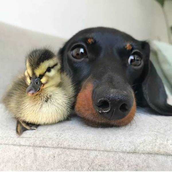 54 Nothing But Awesome Pics (54 photos)