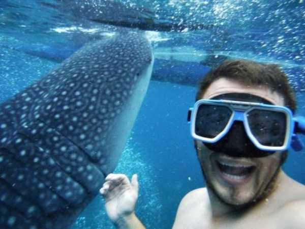 54 Nothing But Awesome Pics (54 photos)