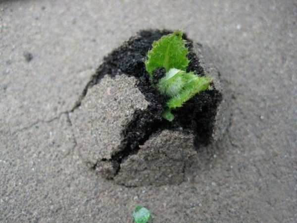 54 Nothing But Awesome Pics (54 photos)